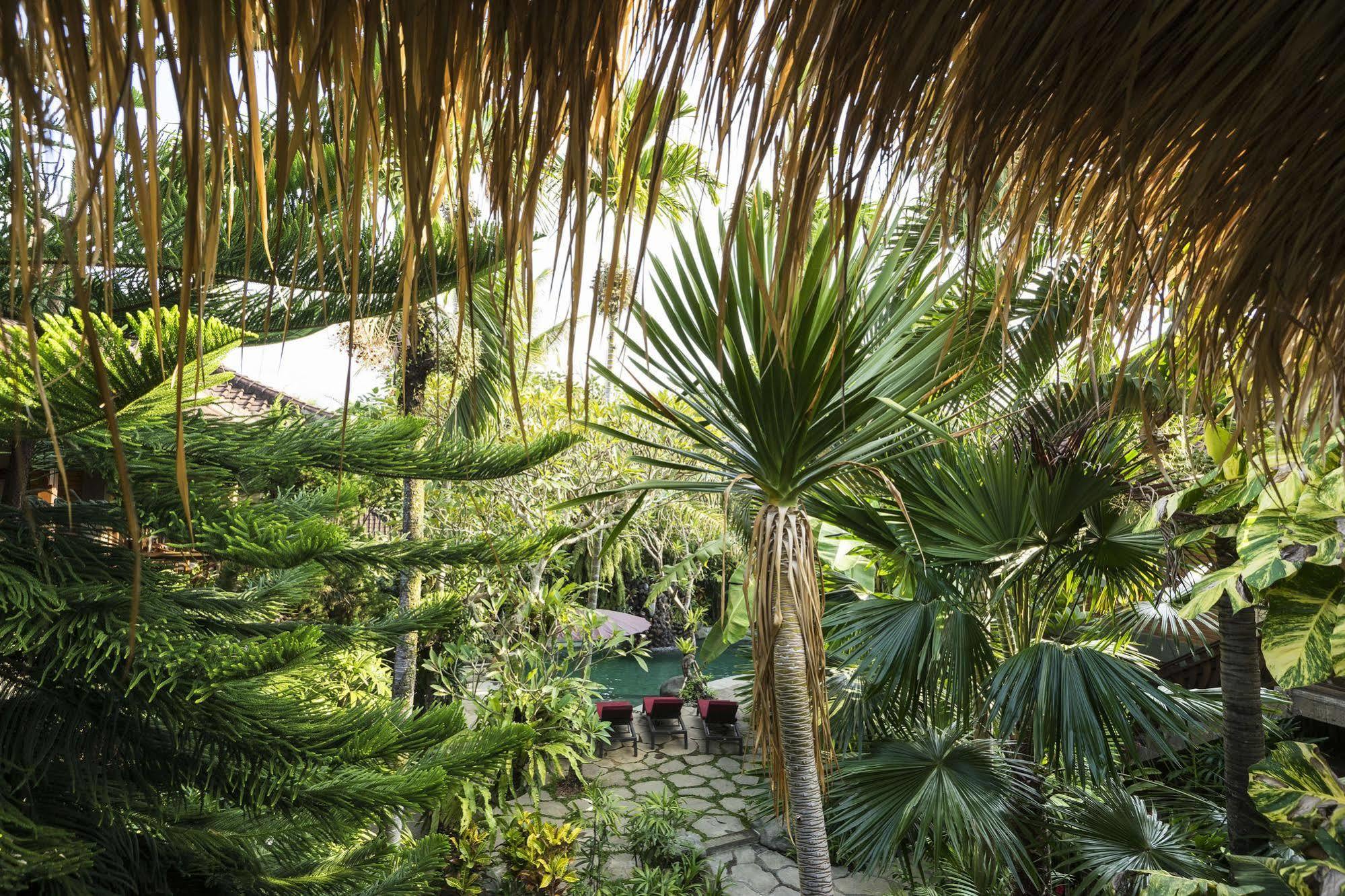 Adi Cottage Ubud Eksteriør bilde